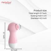 3.7-inch seahorse toy with 1cm suction hole